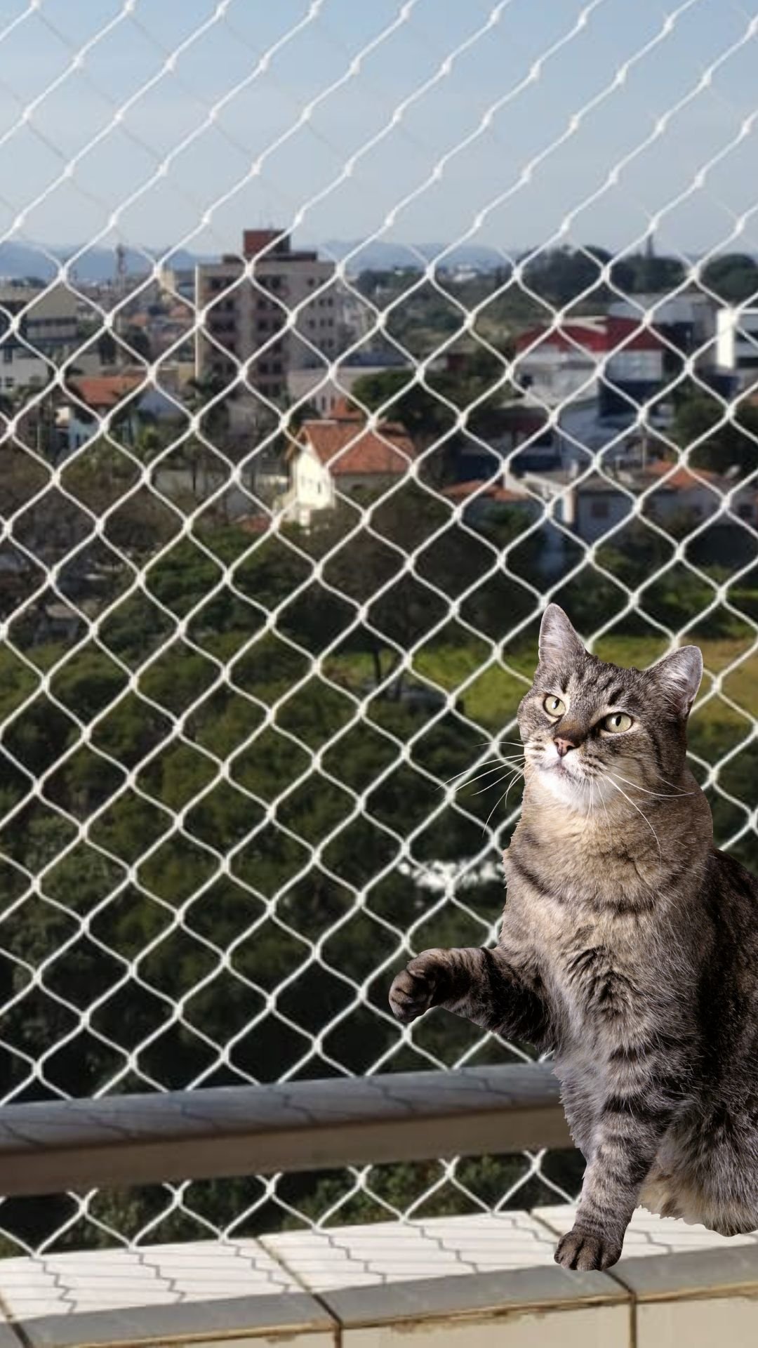 Protect Cat | Redes para Gatos Protect Cat